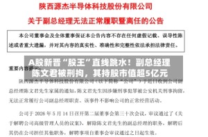 A股新晋“股王”直线跳水！副总经理陈文君被刑拘，其持股市值超5亿元