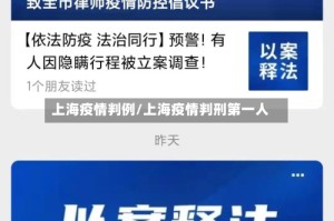 上海疫情判例/上海疫情判刑第一人
