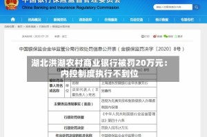 湖北洪湖农村商业银行被罚20万元：内控制度执行不到位