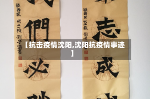 【抗击疫情沈阳,沈阳抗疫情事迹】