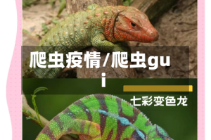 爬虫疫情/爬虫gui