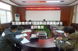 定边疫情咋样/定边新冠状病毒肺炎实时情况