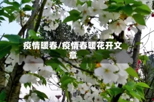 疫情暖春/疫情春暖花开文章