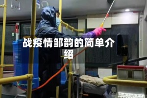 战疫情邹韵的简单介绍