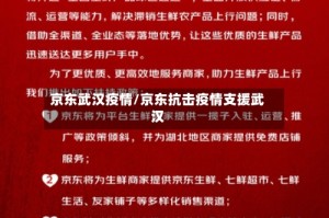 京东武汉疫情/京东抗击疫情支援武汉