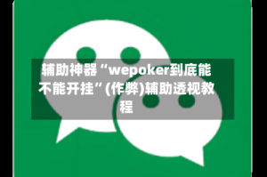 辅助神器“wepoker到底能不能开挂”(作弊)辅助透视教程