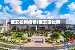 宝安松岗疫情(宝安区松岗)