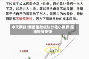 中天期货:商品指数板块分化小反弹 原油短线反弹