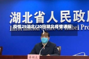 疫情29湖北(20日湖北疫情通报)