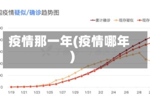 疫情那一年(疫情哪年)