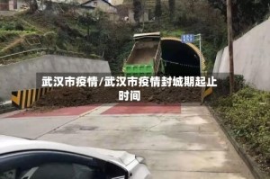 武汉市疫情/武汉市疫情封城期起止时间