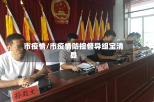 市疫情/市疫情防控督导组宝清县