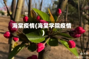 海棠疫情(海棠学院疫情)