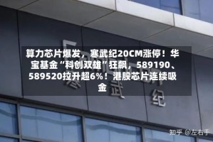 算力芯片爆发，寒武纪20CM涨停！华宝基金“科创双雄”狂飙，589190、589520拉升超6%！港股芯片连续吸金