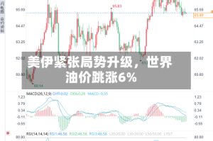 美伊紧张局势升级，世界油价跳涨6%