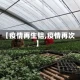 【疫情再生铝,疫情再次】