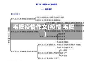 毛概疫情作文(疫情 毛概)