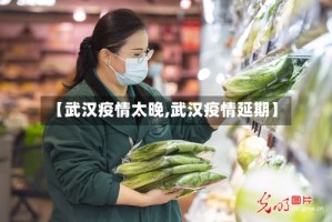 【武汉疫情太晚,武汉疫情延期】