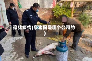 豪猪疫情(豪猪网是哪个公司的)