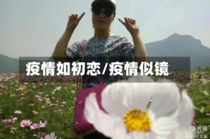 疫情如初恋/疫情似镜