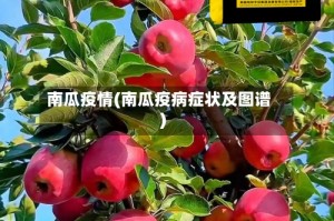 南瓜疫情(南瓜疫病症状及图谱)