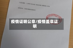 疫情证明公章/疫情盖章证明