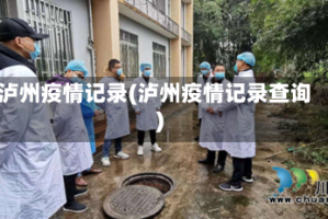 泸州疫情记录(泸州疫情记录查询)