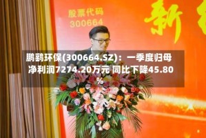 鹏鹞环保(300664.SZ)：一季度归母净利润7274.20万元 同比下降45.80%