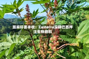 蓖麻籽要丰收：Casterra深耕巴西押注生物燃料
