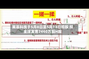 翼菲科技于5月8日至5月13日招股 拟全球发售2460万股H股
