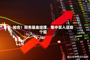 加仓！知名基金经理，集中买入这些个股