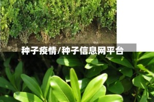 种子疫情/种子信息网平台