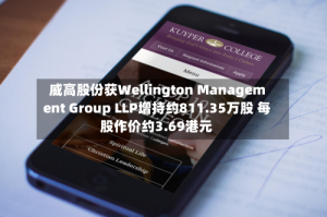 威高股份获Wellington Management Group LLP增持约811.35万股 每股作价约3.69港元