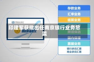 印建军获批出任南京银行业务总监