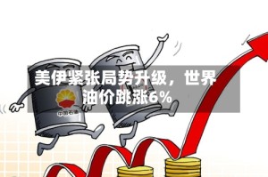美伊紧张局势升级，世界油价跳涨6%