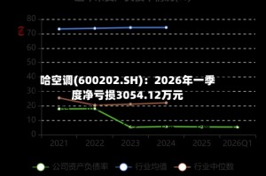 哈空调(600202.SH)：2026年一季度净亏损3054.12万元