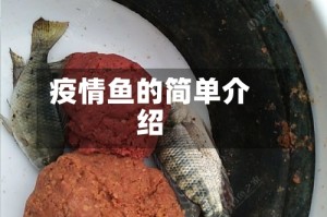 疫情鱼的简单介绍