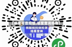【哪里可查疫情,哪里查询疫情】