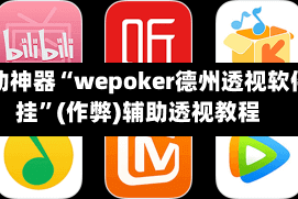 辅助神器“wepoker德州透视软件挂”(作弊)辅助透视教程