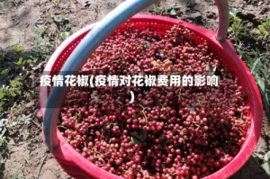 疫情花椒(疫情对花椒费用的影响)