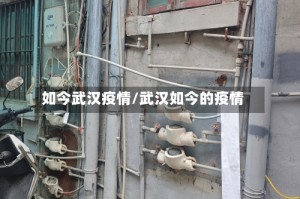 如今武汉疫情/武汉如今的疫情