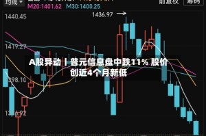 A股异动丨普元信息盘中跌11% 股价创近4个月新低