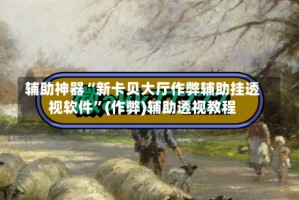 辅助神器“新卡贝大厅作弊辅助挂透视软件”(作弊)辅助透视教程