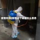 疫情所指(疫情这个词是什么意思)