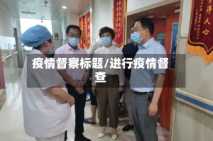 疫情督察标题/进行疫情督查