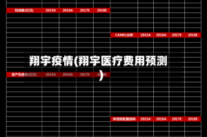 翔宇疫情(翔宇医疗费用预测)