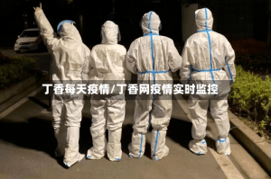 丁香每天疫情/丁香网疫情实时监控