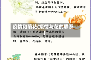 疫情和菊花(疫情与花的联系)