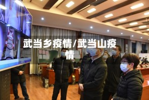 武当乡疫情/武当山疫情