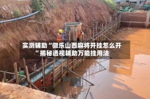 实测辅助“微乐山西麻将开挂怎么开”揭秘透视辅助万能挂用法